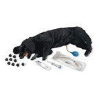 Life/form Basic Sanitary CPR Dog